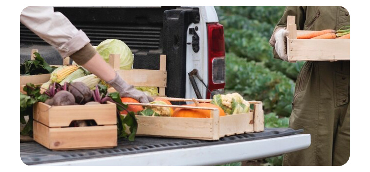 专业的配送团队