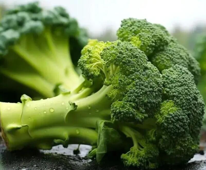 蔬菜配送-蔬菜配送-广东省千沅商贸有限公司