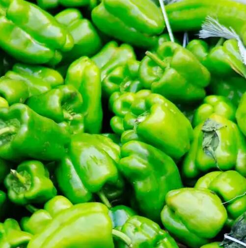 蔬菜配送-蔬菜配送-广东省千沅商贸有限公司