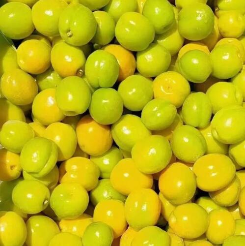 瓜果配送-食材配送-广东省千沅商贸有限公司