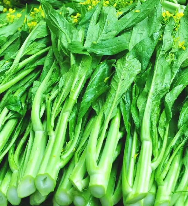 蔬菜配送-蔬菜配送-广东省千沅商贸有限公司