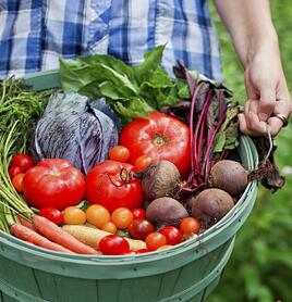 净菜配送的质量该如何保障呢