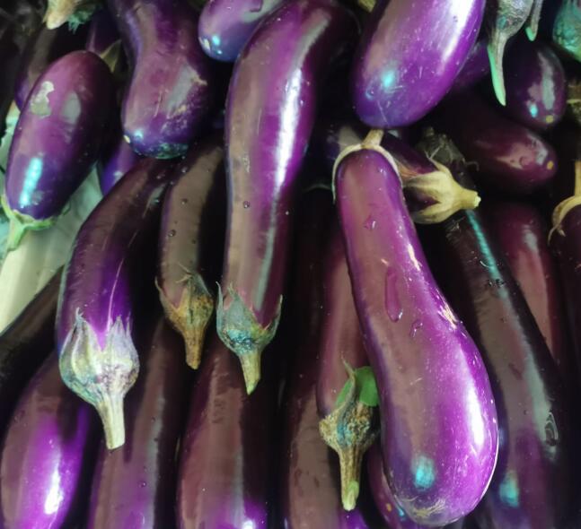 蔬菜配送-蔬菜配送-广东省千沅商贸有限公司