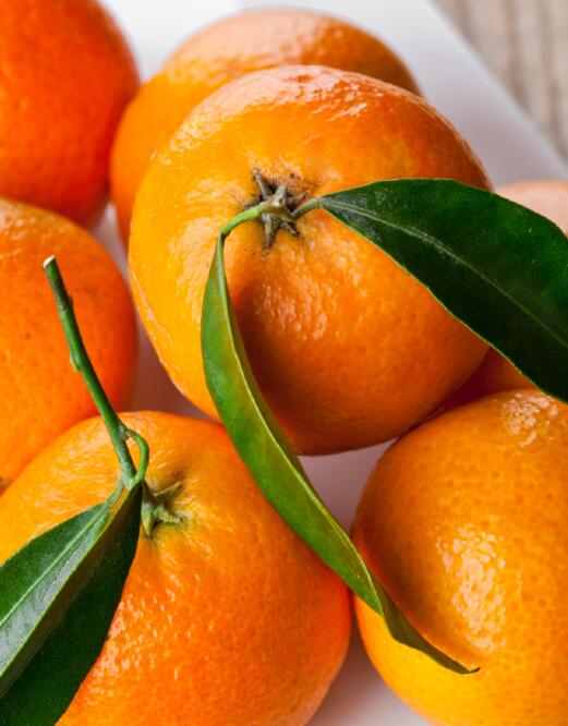 广东省千沅商贸有限公司-食材配送-瓜果配送