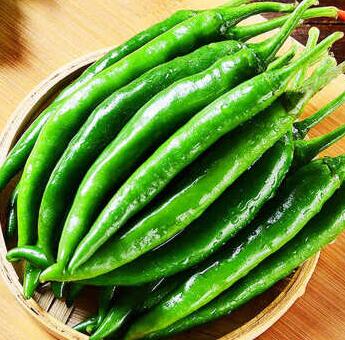 蔬菜配送-蔬菜配送-广东省千沅商贸有限公司