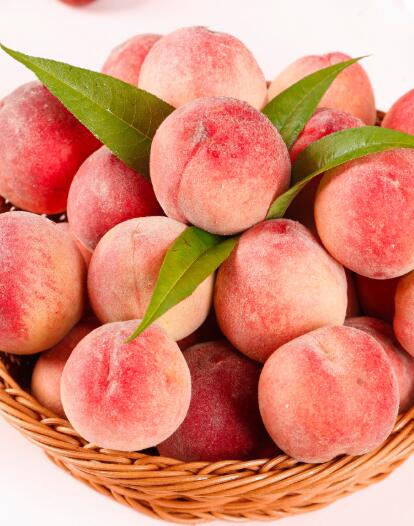 广东省千沅商贸有限公司-食材配送-瓜果配送